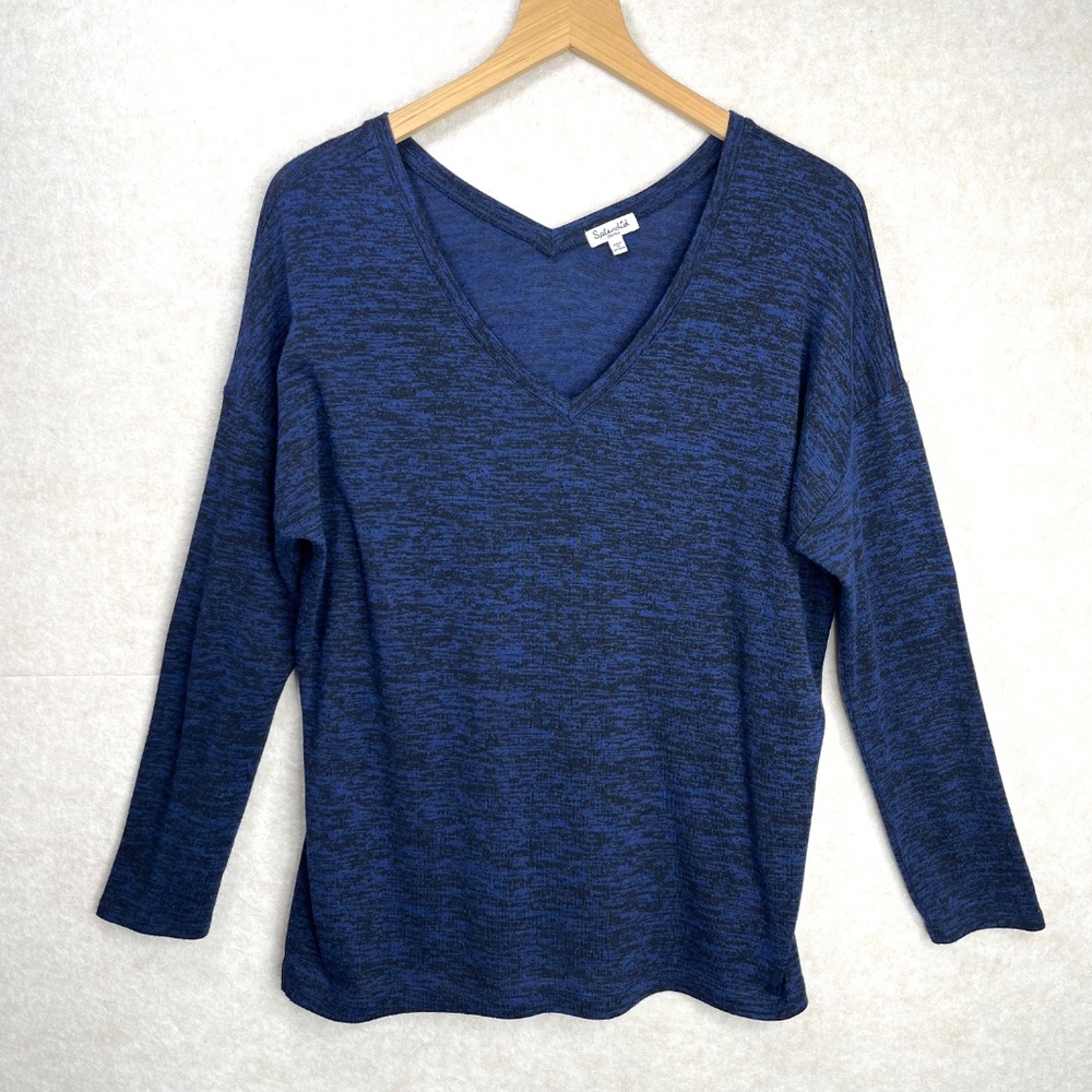 Splendid Marled Blue V-Neck Sweater with V-Back